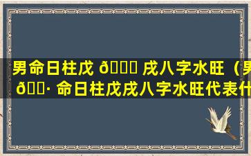 男命日柱戊 🐈 戌八字水旺（男 🕷 命日柱戊戌八字水旺代表什么）